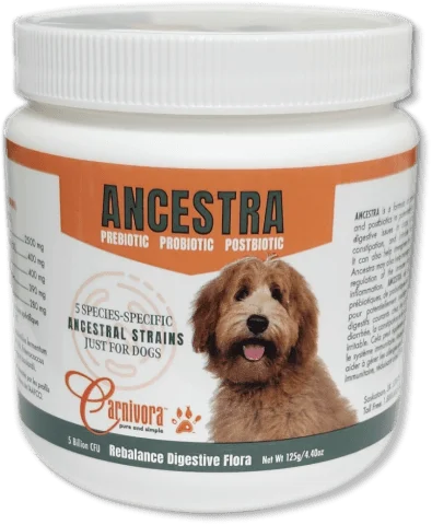 Ancestra - Dog Supplements - Carnivora