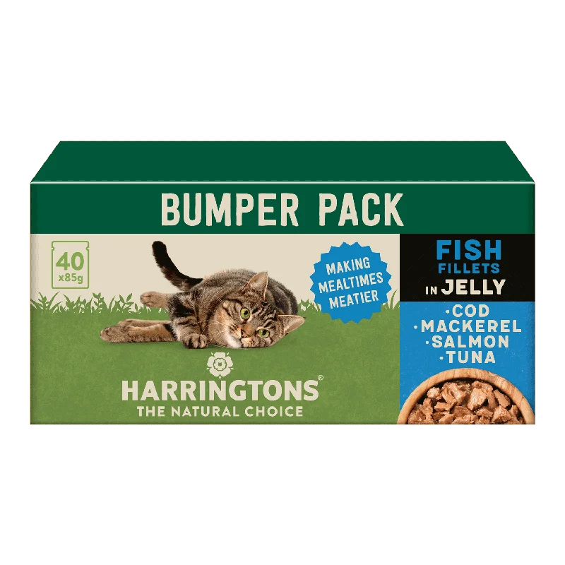 Complete Grain-Free Adult Fish Selection in Jelly Wet Cat Food Bumper Pack 40x85g