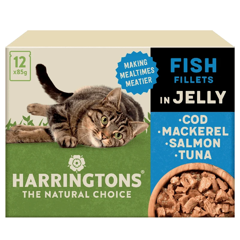 Complete Grain-Free Adult Fish Selection in Jelly Wet Cat Food Bundle 72x85g