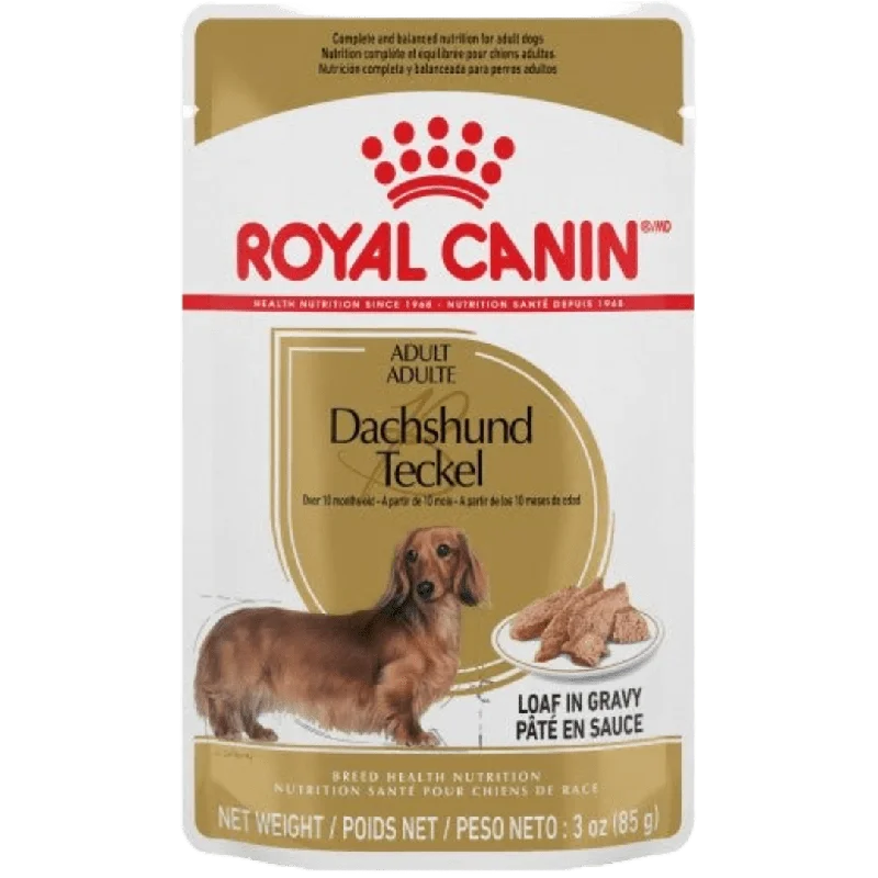 Dachshund Pouch Dog Food - Wet Dog Food - Royal Canin