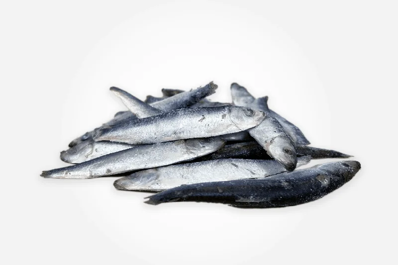 Frozen Sprats - 1kg Bag