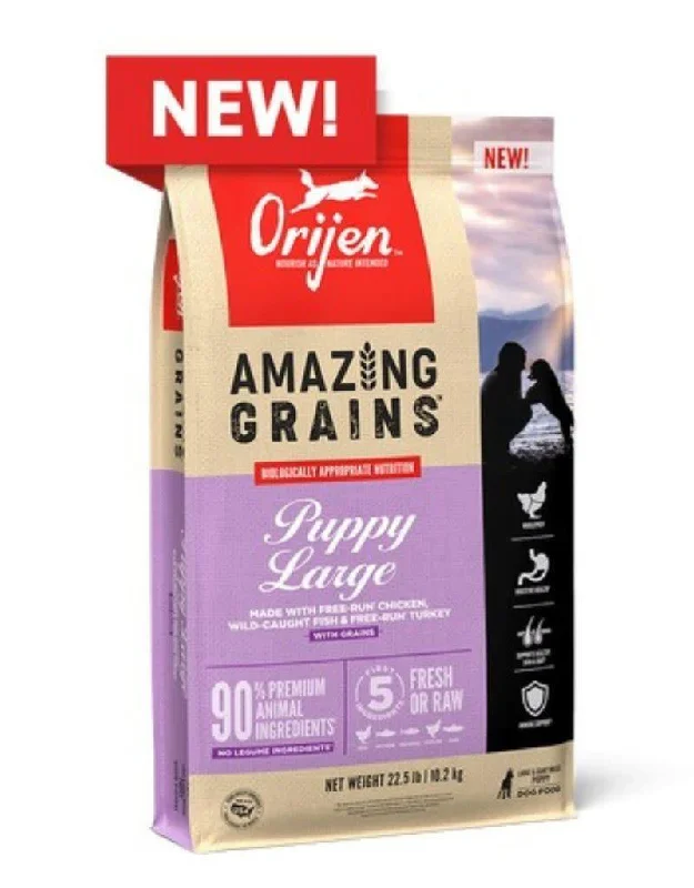 Orijen Amazing Grains Puppy Large Breed 22.5lb