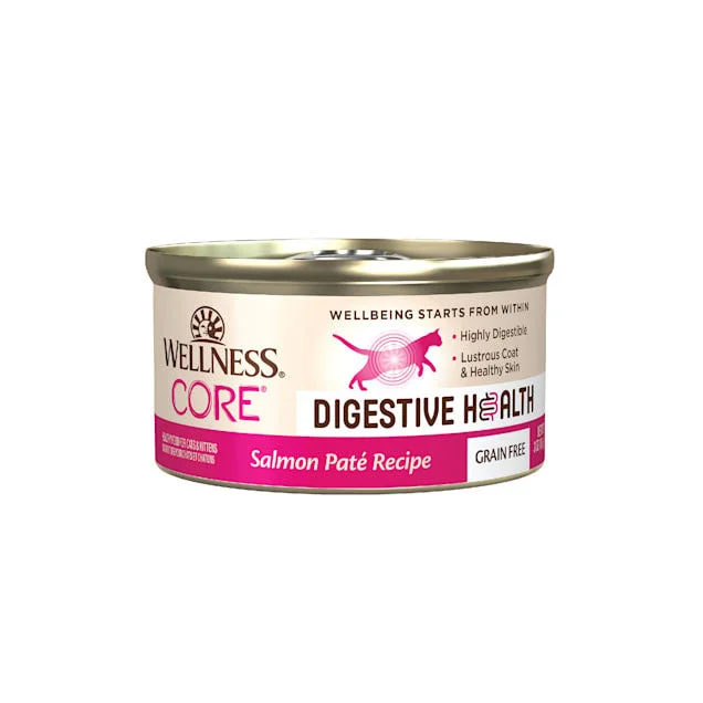 Wellness Cat Can Core Digest Health Salmon 3oz