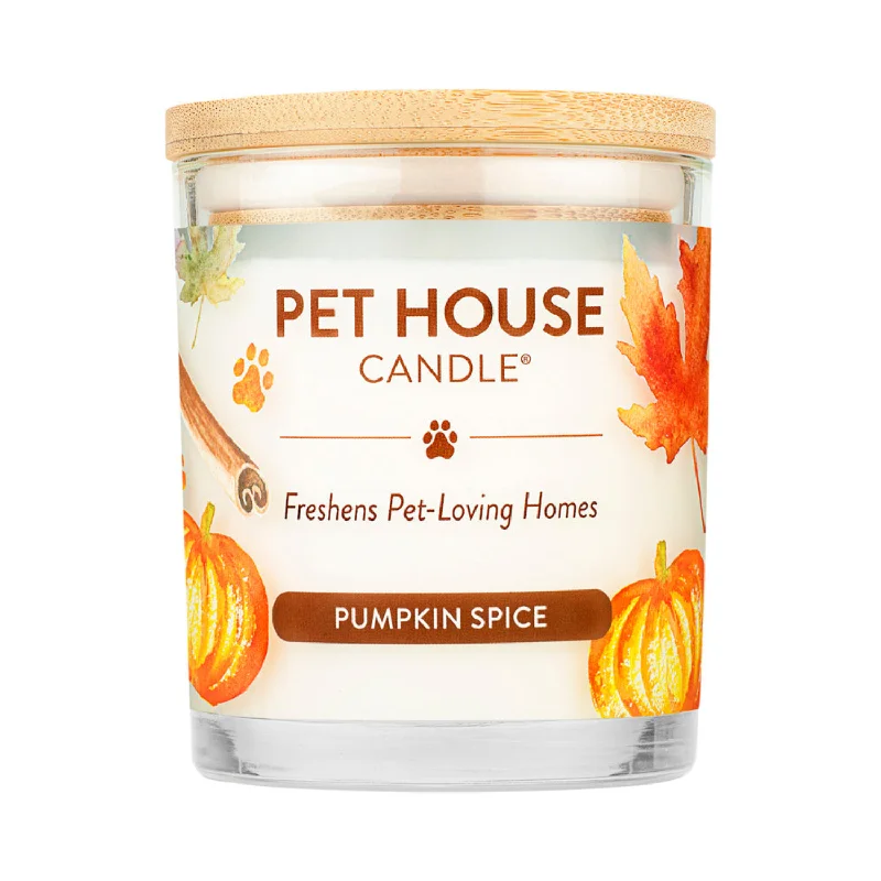 100% Plant-Based Wax Candle, Pumpkin Spice - 9 oz